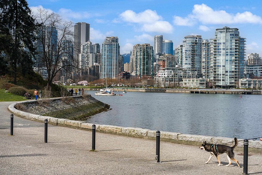 204 3168 Laurel Street