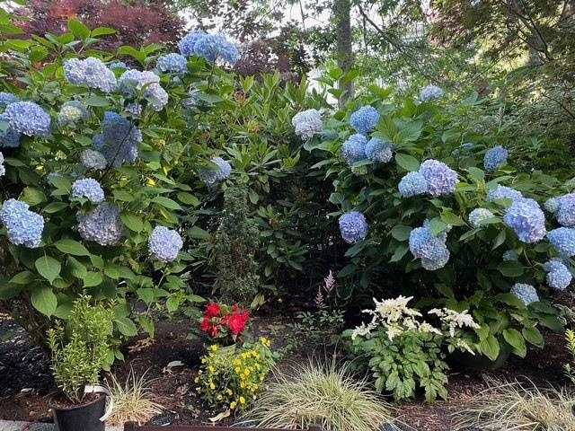 102 736 W 14th Avenue