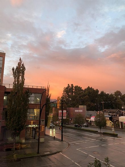 206 3228 Tupper Street