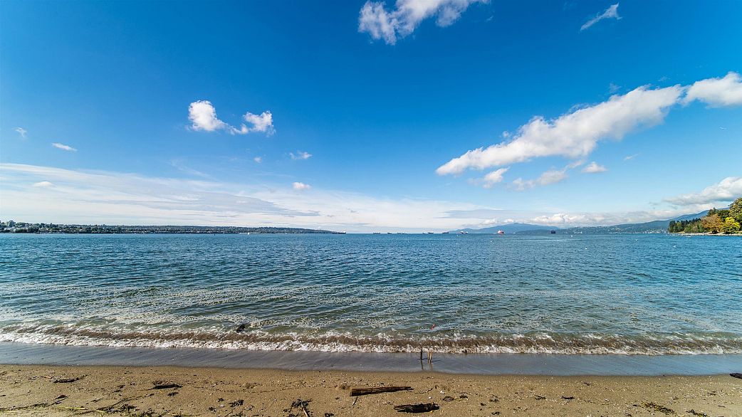 103 1649 Comox Street