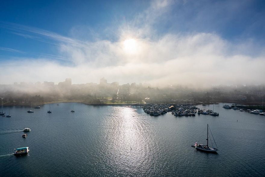 1703 1560 Homer Mews