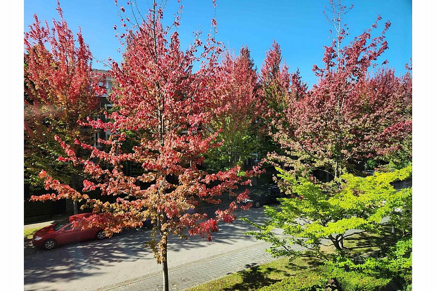 202 6268 Eagles Drive