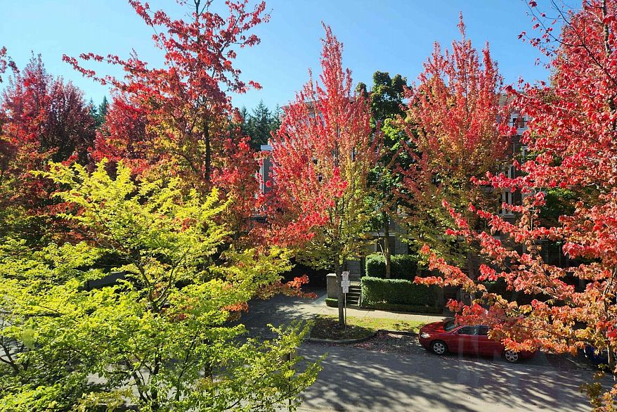 202 6268 Eagles Drive