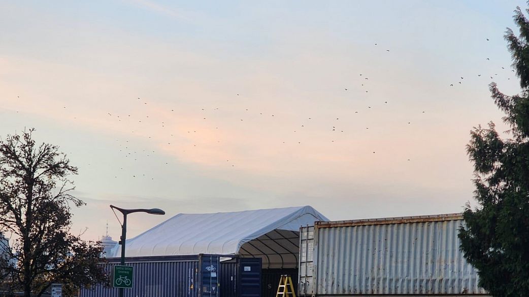 409 774 GREAT NORTHREN WAY, Vancouver BC V5T 1E1