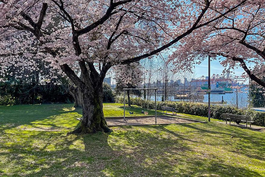 302 2215 Mcgill Street