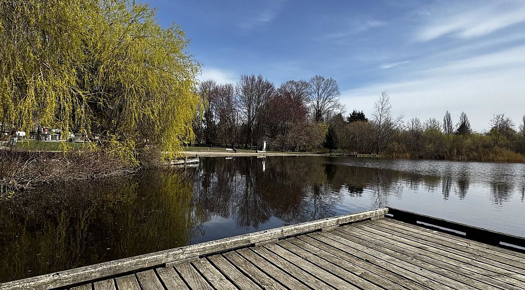 PH-8 1689 13th Avenue