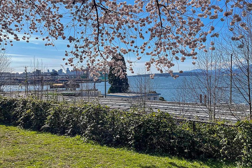 302 2215 Mcgill Street