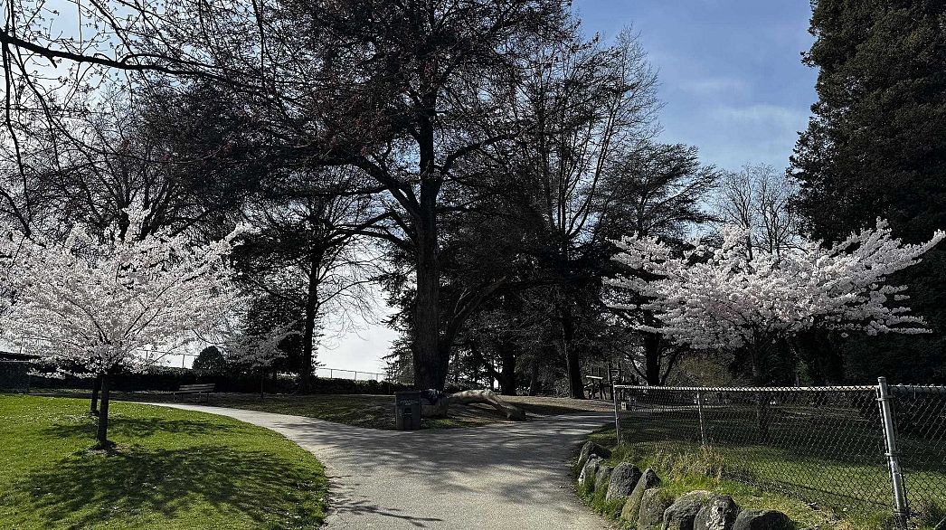 PH-8 1689 13th Avenue