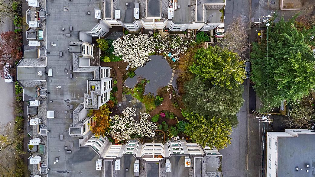 407 1230 Haro Street