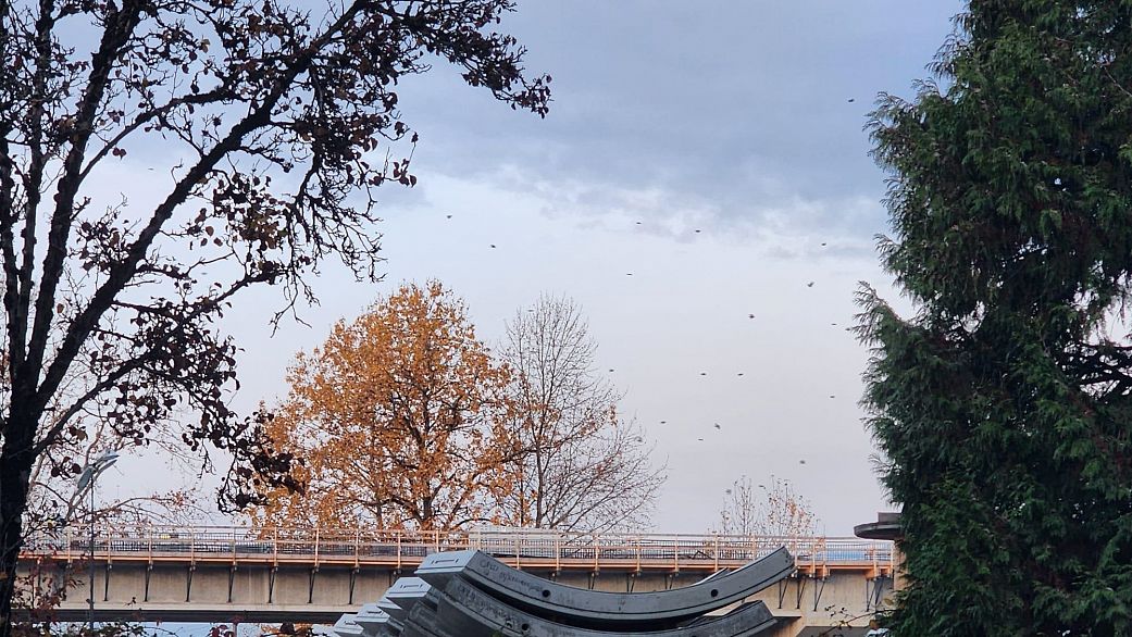 409 774 GREAT NORTHREN WAY, Vancouver BC V5T 1E1