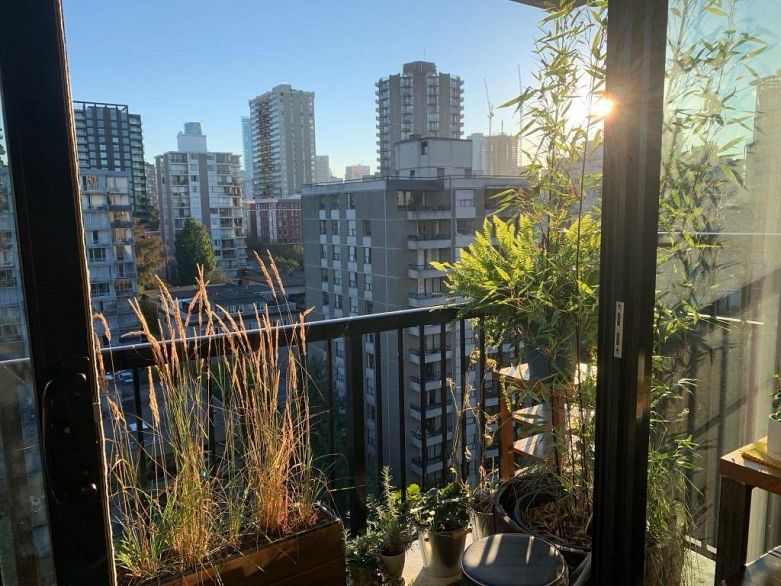 1403 1330 Harwood Street