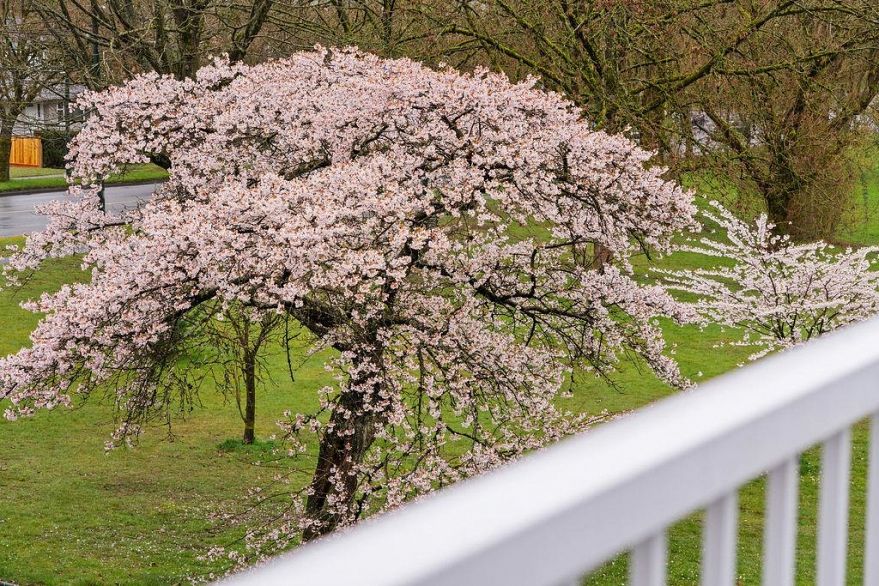 5681 Killarney Street