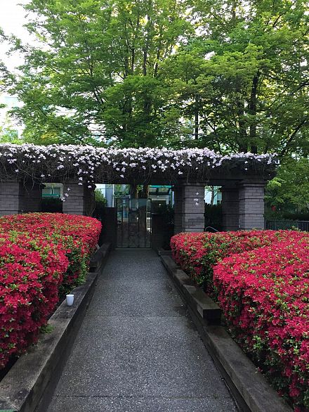 E102 628 W 12th Avenue