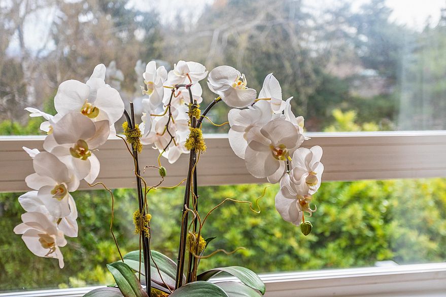 302 3590 W 26th Avenue