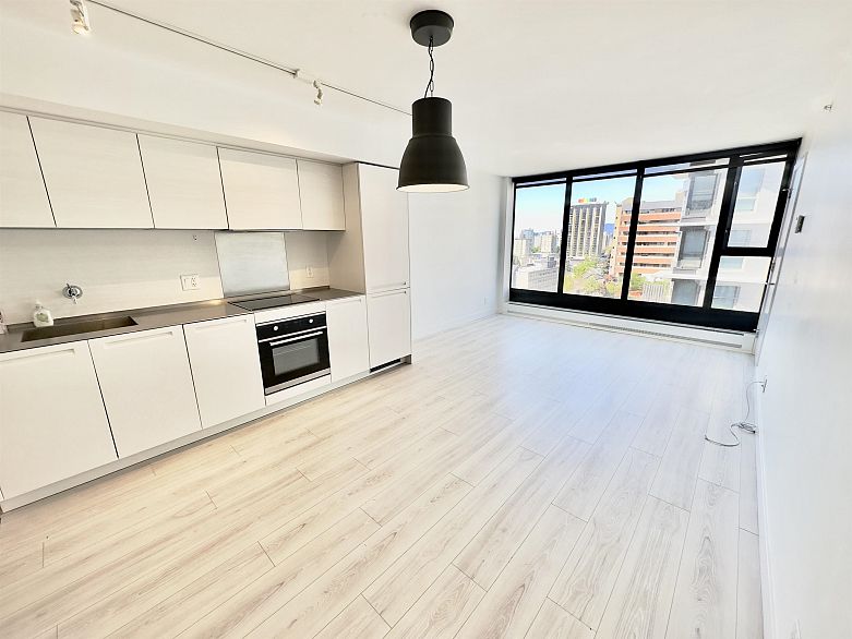 1608 1133 Hornby Street