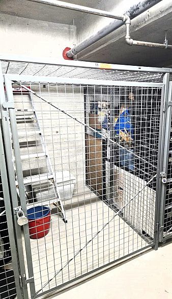 321 2515 Ontario Street