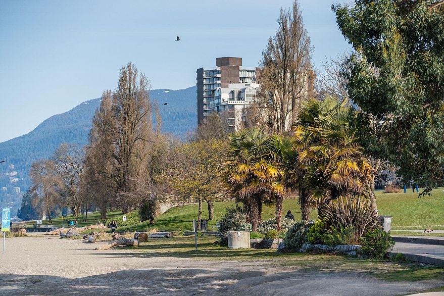 411 1330 Burrard Street