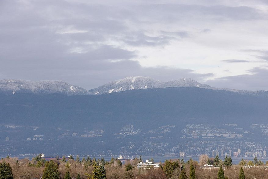 3936 Quesnel Drive