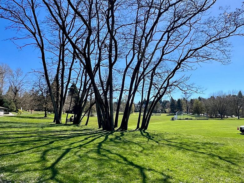 1314 4655 Valley Drive