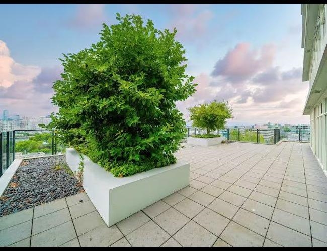 903 2411 Heather Street