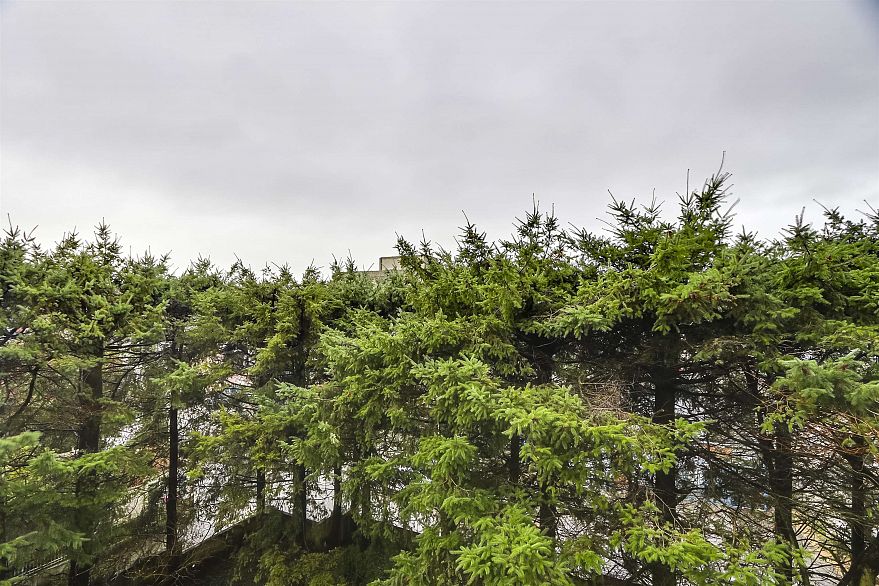 403 1633 W 10th Avenue