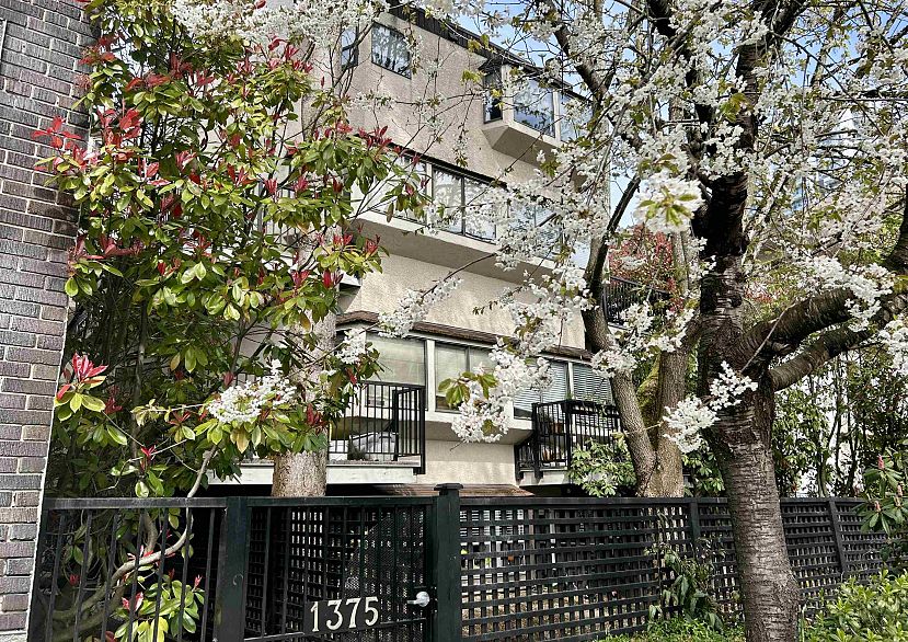 6 1375 W 10th Avenue