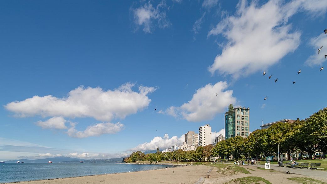 401 1406 Harwood Street