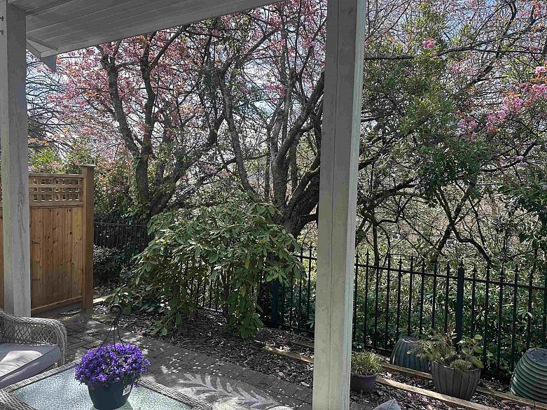 233 Waterleigh Drive