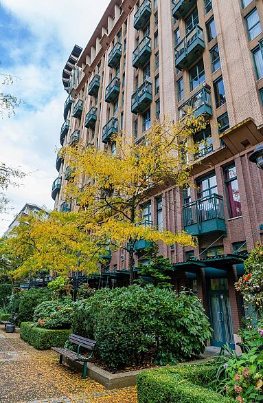 507 22 E Cordova Street