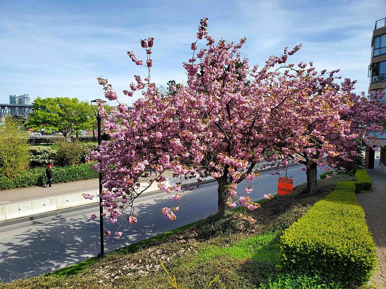 103 1470 Pennyfarthing Drive