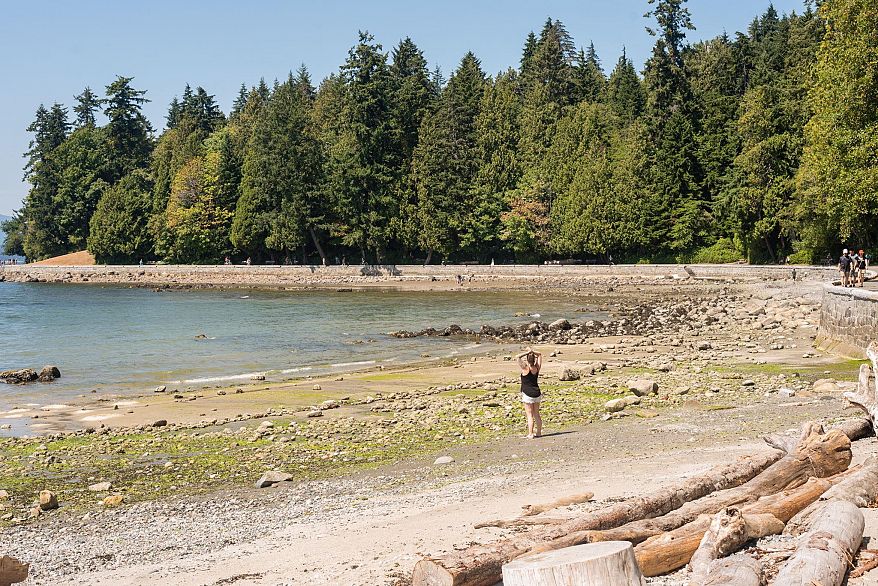 705 1239 W Georgia Street