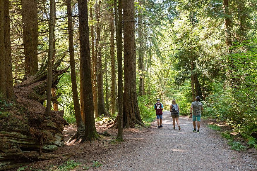 705 1239 W Georgia Street