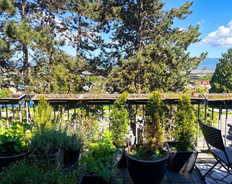 409 774 GREAT NORTHERN WAY, Vancouver BC V5T 1E1