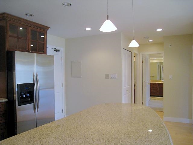 315 1869 Spyglass Place