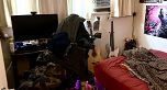 6915 BEATRICE STREET, Vancouver BC V5P 3R6