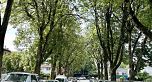 6915 BEATRICE STREET, Vancouver BC V5P 3R6
