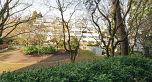601-8181 Chester Street, Vancouver BC V5X 0J9