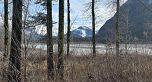3050 Kingsway, Vancouver BC V5R 5J7