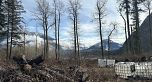 3050 Kingsway, Vancouver BC V5R 5J7