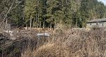 3050 Kingsway, Vancouver BC V5R 5J7