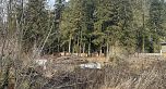 3050 Kingsway, Vancouver BC V5R 5J7