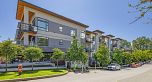 315 133 W 49TH AVENUE, Vancouver BC V5Z 2S3