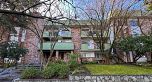 102-710 6th Avenue, Vancouver BC V5T 1L5