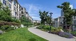 506-1252 Hornby Street, Vancouver BC V6Z 0A3