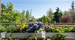 203 375 W 59th Avenue
