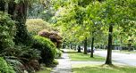 6026 Angus Drive, Vancouver BC V6M 3P1