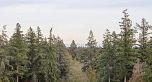 1206 3533 ROSS DRIVE, Vancouver BC V6S 0L3