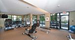 1602 1863 ALBERNI STREET, Vancouver BC V6G 3H8