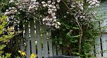 3726 W 33RD AVENUE, Vancouver BC V6N 2H5