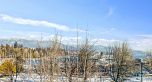 503 1889 ALBERNI STREET, Vancouver BC V6G 3G7